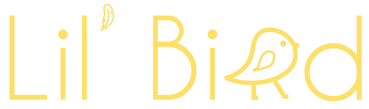 lil' bird life coaching